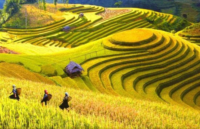 Hong Minh Guesthouse Mu Cang Chai 외부 사진